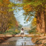 From Busan: Gyeongju Small Group Photo Tour (Max 6 Pax) - What Makes This Tour a Great Value?