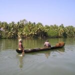 From Cochin: 4-Night/5-Day Kerala Tour - Detailed Review: What Works and What to Consider