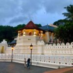 From Colombo: Kandy Temple of Tooth & Elephant Orphanage - What Travelers Say