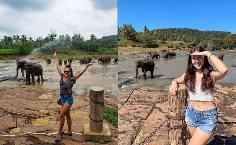 From Colombo: Pinnawala & Tea factory with Kandy Hotel Drop - Transport and Overall Value