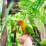 from Da Nang: Hoi An Instagram Cafe Tour with Rooftop View - Final Thoughts: Is It Worth It?