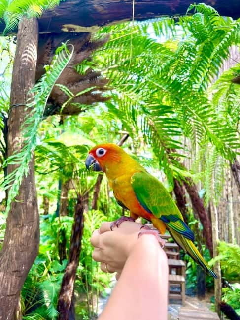 from Da Nang: Hoi An Instagram Cafe Tour with Rooftop View - Final Thoughts: Is It Worth It?