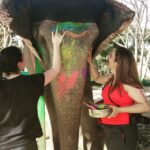 From Delhi: 3-Day Golden Triangle Tour with 5 & 3 Star Hotel - Exploring the Iconic Cities of the Golden Triangle