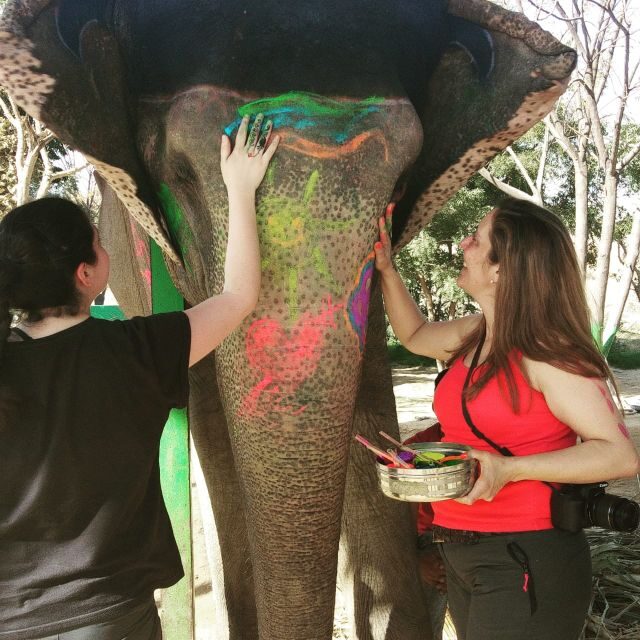 From Delhi: 3-Day Golden Triangle Tour with 5 & 3 Star Hotel - Exploring the Iconic Cities of the Golden Triangle