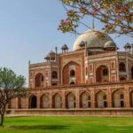 From Delhi: 5-Day Golden Triangle and Tiger Safari Tour - Who This Tour Is Best For