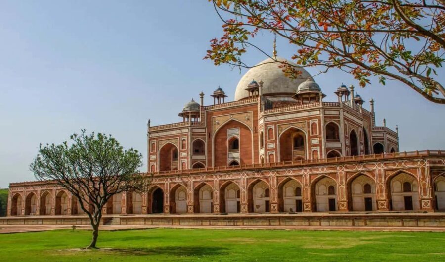 From Delhi: 5-Day Golden Triangle and Tiger Safari Tour - Who This Tour Is Best For