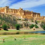 From Delhi: 8-Day Golden Triangle Jodhpur Udaipur Tour - Who Will Love This Tour?