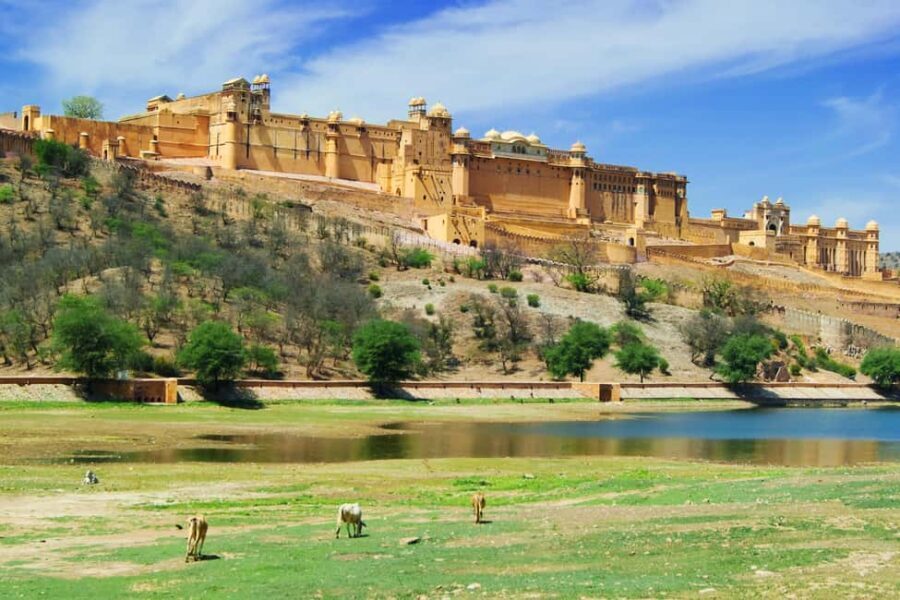 From Delhi: 8-Day Golden Triangle Jodhpur Udaipur Tour - Who Will Love This Tour?