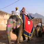 From Delhi: Jaipur Private Trip By Car - Detailed Breakdown of the Itinerary