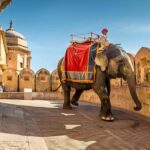 From Delhi: Jaipur Same Day Tour By Car - Transportation and Group Experience
