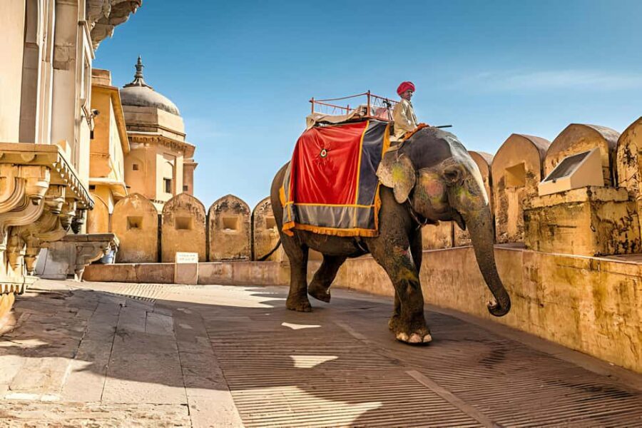 From Delhi: Jaipur Same Day Tour By Car - Transportation and Group Experience