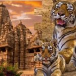 From Delhi: Khajuraho Kamasutra Temples & Panna Safari Tour - Why This Tour Offers Great Value