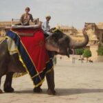 From Delhi: Private 3-Day Golden Triangle Tour with Hotels - The Value of This Tour