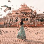From Delhi: Private Delhi Agra Jaipur Tour - The Value of This Experience