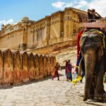 From Delhi: Private Jaipur City Tour with Monkey Temple - Who Is This Tour Best For?