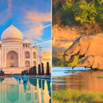 From Delhi: Sunrise Taj Mahal and Elephant Conservation Tour - Key Points
