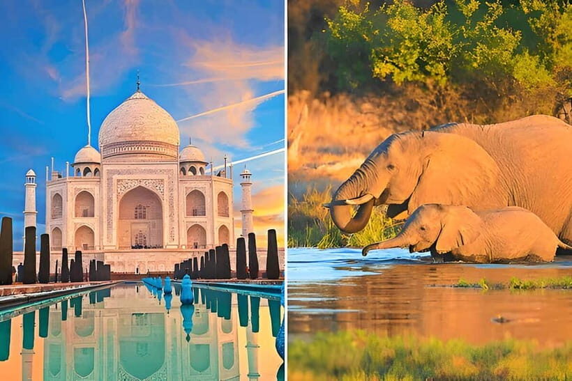 From Delhi: Sunrise Taj Mahal and Elephant Conservation Tour - Key Points