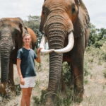 From Delhi: Sunrise Taj Mahal & visit Elephant Conservation - The Itinerary Breakdown: What You Can Expect