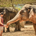 From Delhi: Taj Mahal, Agra Fort & Elephant Centre Tour - What to Expect at Each Stop