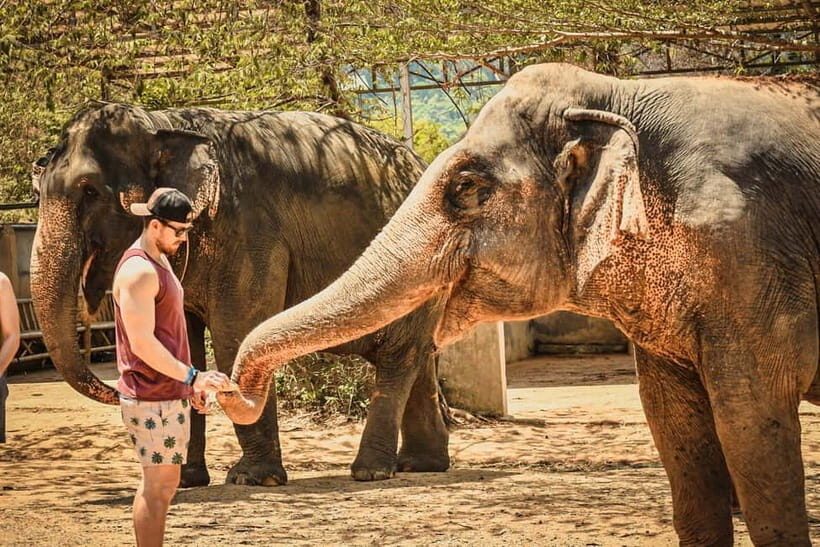 From Delhi: Taj Mahal, Agra Fort & Elephant Centre Tour - What to Expect at Each Stop