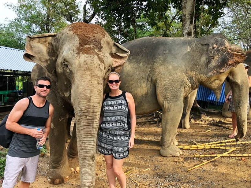 From Delhi: Taj Mahal, Agra Fort & Elephant Sanctuary Tour - Who Should Consider This Tour?