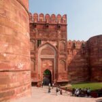 From Delhi: Trip to Taj Mahal, Wildlife SOS and Agra Fort - The Value of This Tour