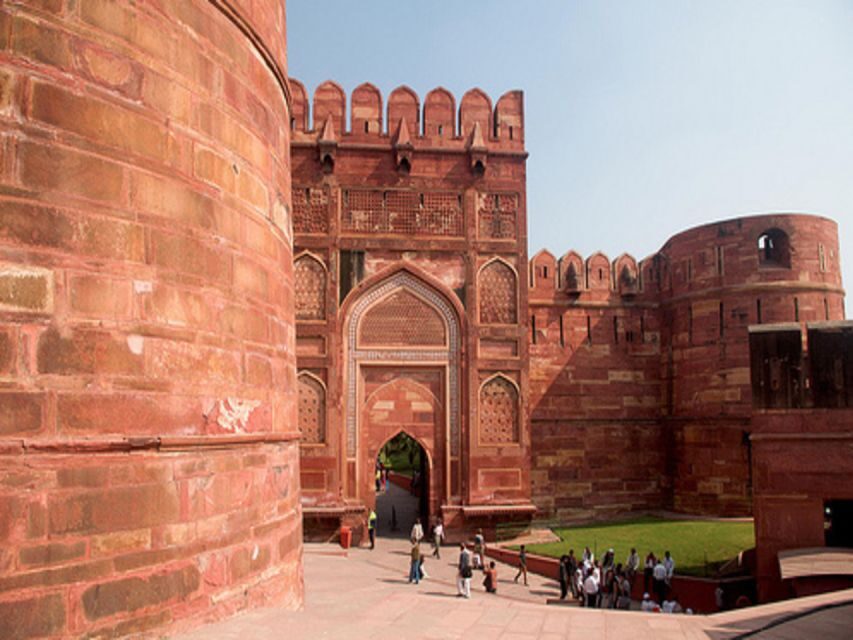 From Delhi: Trip to Taj Mahal, Wildlife SOS and Agra Fort - The Value of This Tour