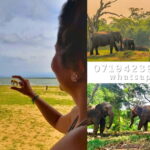 From Ella: Udawalawe National Park safari drop to Ella again - Frequently Asked Questions