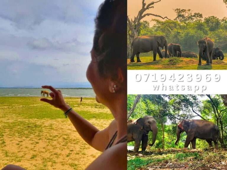 From Ella: Udawalawe National Park safari drop to Ella again - Frequently Asked Questions
