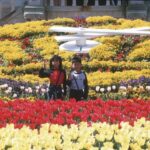From Fukuoka: Private Day Trip to Huis Ten Bosch Theme Park - The Park’s Highlights: Scenic Walks and Stunning Views