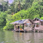 From Galle: Madu River Safari & Turtle Hatchery Visit - A Closer Look at the Madu River Safari & Turtle Hatchery Tour