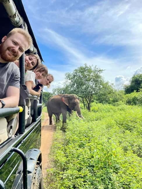 From Galle/ Mirissa/ Tangalle : Udawalawa Safari & Drop Ella - Detailed Breakdown of the Tour Experience
