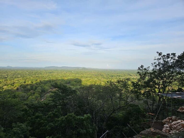 From Galle: Sigiriya Rock Fortress, Dambulla Cave & Safari - Who Is This Tour Best For?