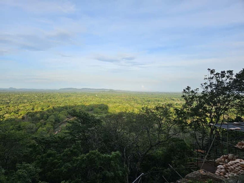 From Galle: Sigiriya Rock Fortress, Dambulla Cave & Safari - Who Is This Tour Best For?