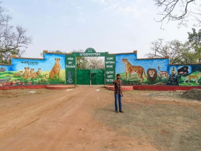 From Gwalior : Kuno National Park Safari Tour 3D/2N - What We Love About This Tour