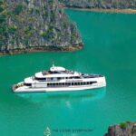From Ha Long: Luxury Symphony Day Cruise with 2 Jacuzzi Pool - The Food and Dining Experience