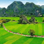 From Ha Noi: Hoa Lu, Trang An, Mua Cave Tour Daily Full Day - What’s Included and What’s Not
