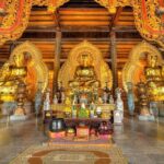 From Hanoi- 1 Day Ninh Binh Save Cost With Transfer Optional - The Value of This Experience