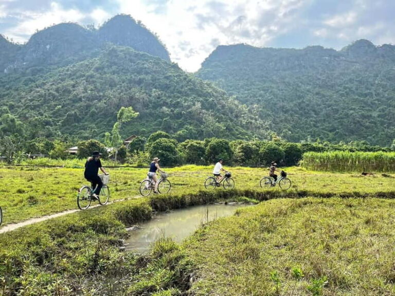 From Hanoi/Cat Ba: Lan Ha Bay Day Trip with Cruise and Lunch - Discovering Cai Beo and the Rocky Islands