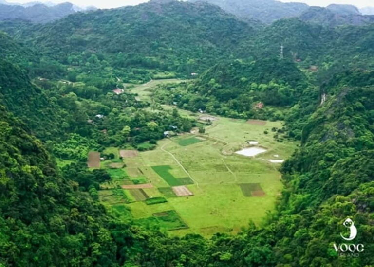 From Hanoi: Discover Cat Ba - Green Island - Practicalities & What You Should Know