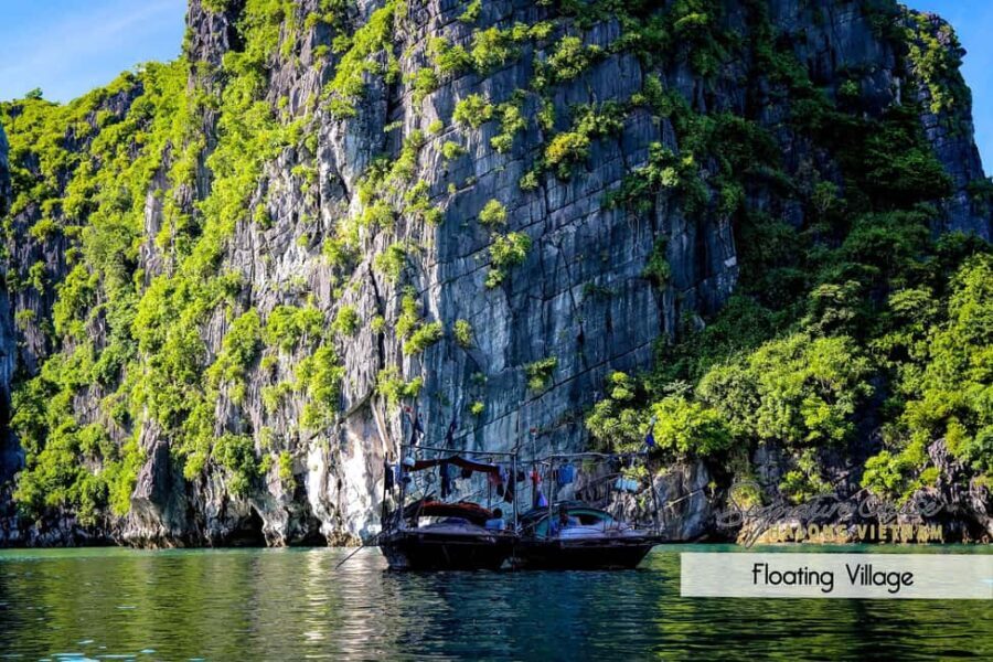 From Hanoi: Explore Cat Ba Islands In 1 Day - The Full Experience on the Water and Land