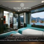 From Hanoi: Ha Long Bay & Lan Ha Bay 3D2N Tour|Luxury Cruise - Why This Tour Offers Great Value