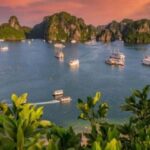 From Hanoi: Halong Bay, Titop Island, Sung Sot & Luon Caves - Who Is This Tour Best For?