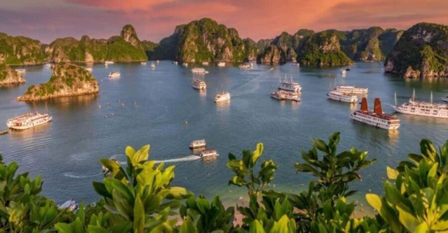 From Hanoi: Halong Bay, Titop Island, Sung Sot & Luon Caves - Who Is This Tour Best For?