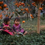 From Hanoi: Moc Chau 3-Day Guided Tour - Final Thoughts