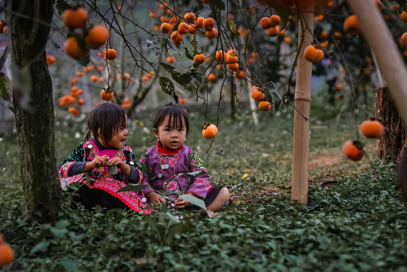 From Hanoi: Moc Chau 3-Day Guided Tour - Final Thoughts