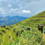 From Hanoi: Private 2-Day Mu Cang Chai Homestay & Trekking - What’s Included & What’s Not