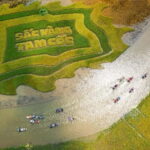 From Hanoi: Tam Coc Boat Trip and Hoa Lu & Mua Cave Tour - Why We Think This Tour Offers Great Value