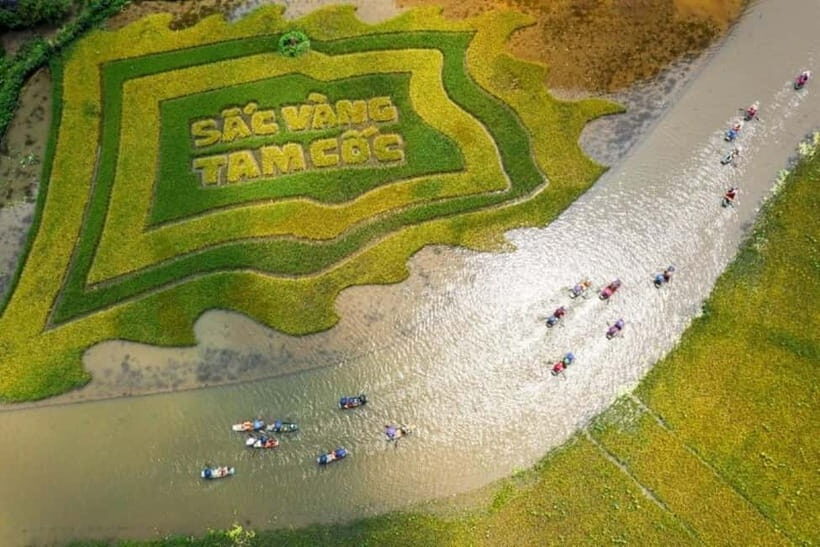 From Hanoi: Tam Coc Boat Trip and Hoa Lu & Mua Cave Tour - Why We Think This Tour Offers Great Value