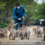 From Ho Chi Minh: Can Gio Mangrove Forest & Monkey Island - Practical Considerations & Value